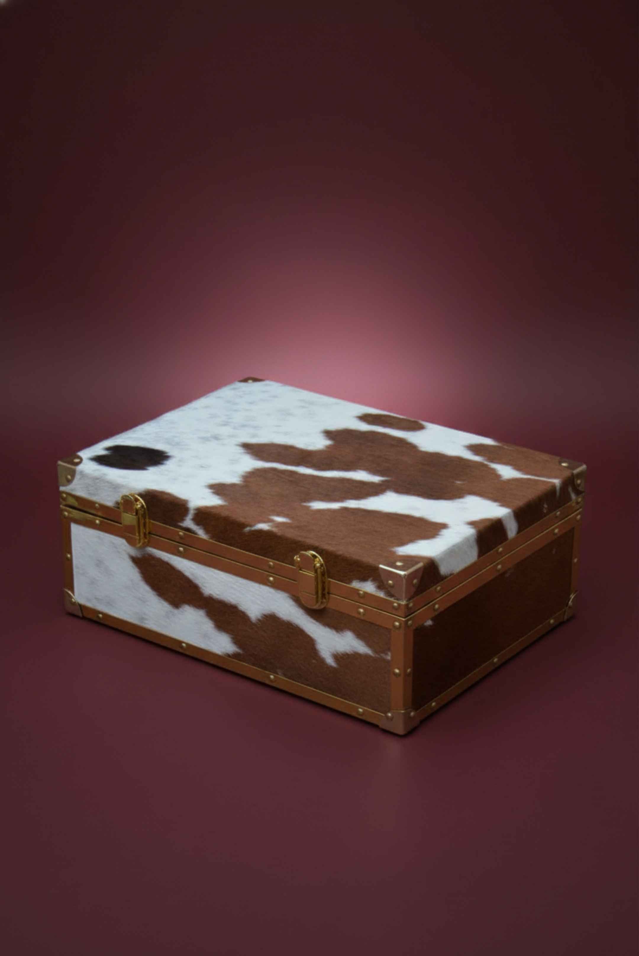 Cowhide Storage Box – Brass-Frame Trunk