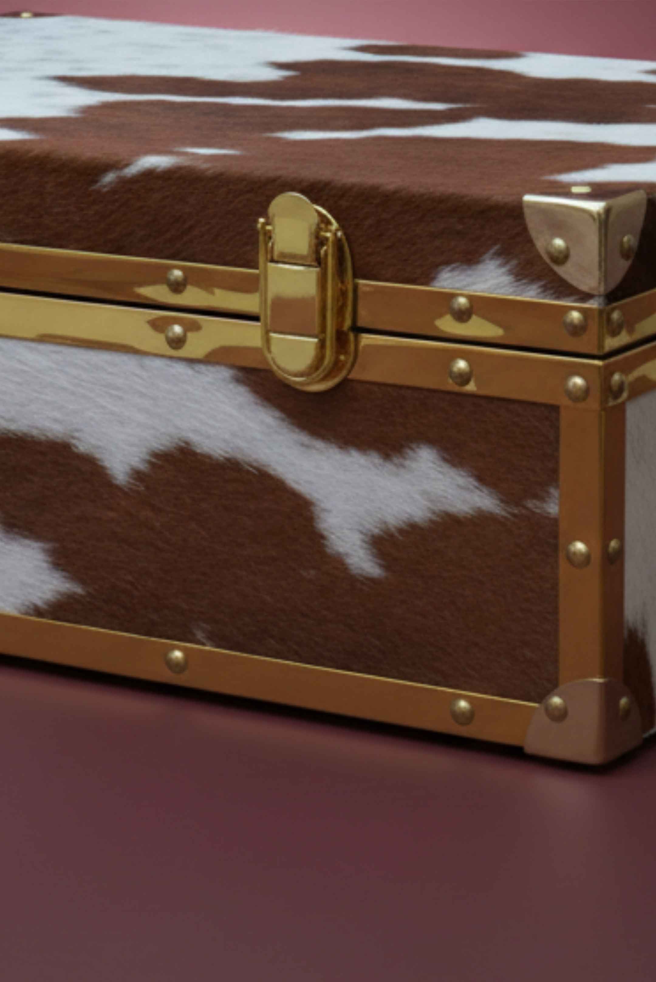Cowhide Storage Box – Brass-Frame Trunk