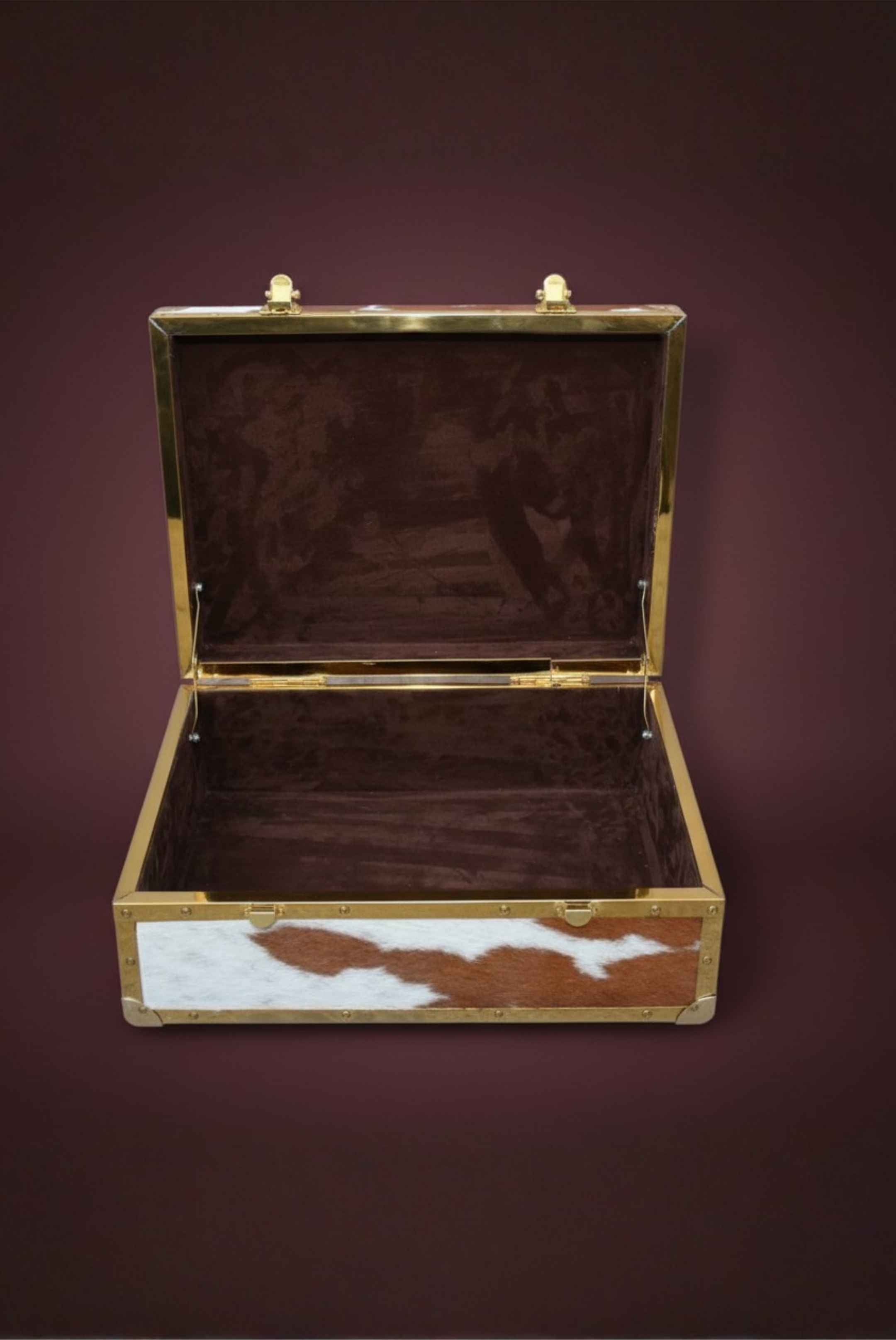Cowhide Storage Box – Brass-Frame Trunk
