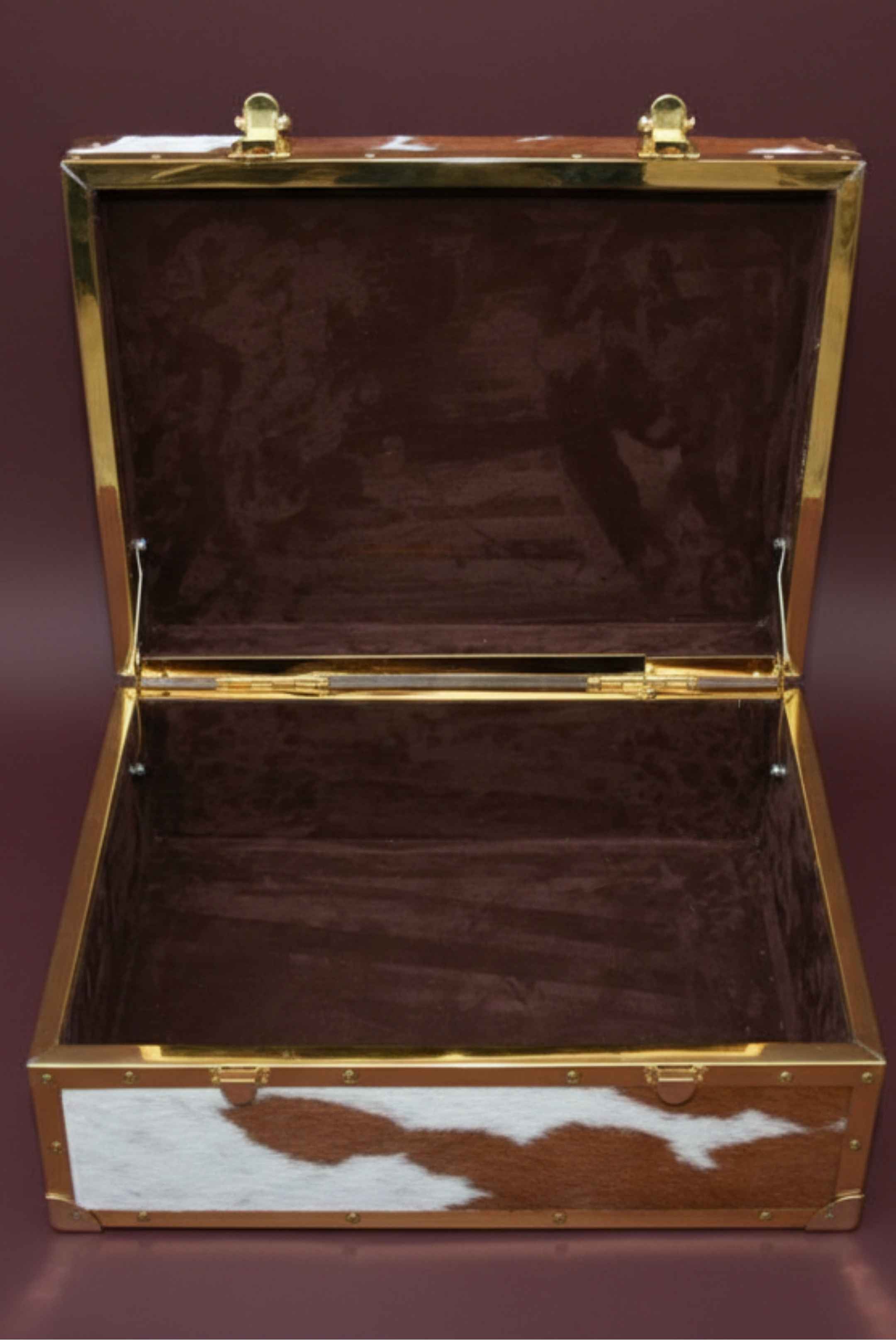 Cowhide Storage Box – Brass-Frame Trunk